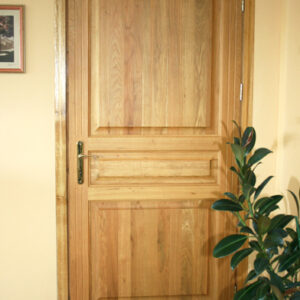 Interior door by Woodland